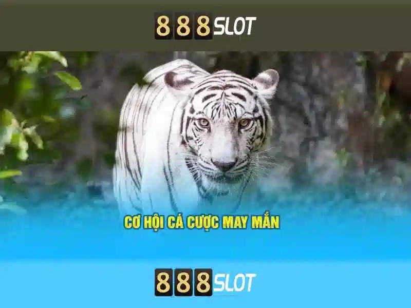 888slot - Tổng quan về nền tảng casino trực tuyến Giao diện nhà cái hoàn hảo