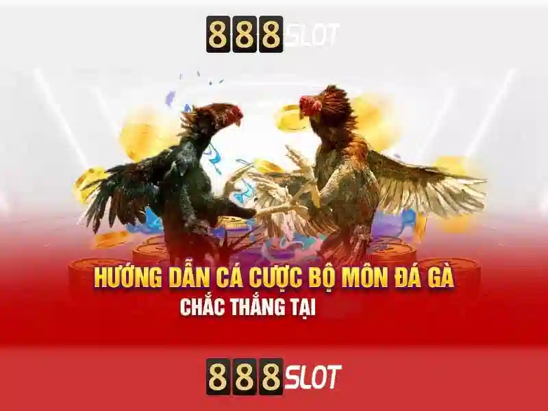 Giao diện nhà cái hoàn hảo