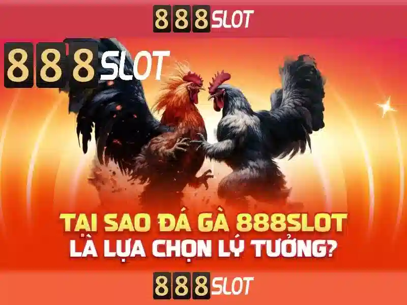 Giao diện và trải nghiệm người dùng