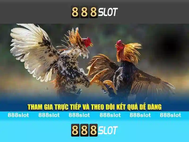 888slot - Đánh giá nền tảng casino trực tuyến và trò chơi xèng Giao diện nhà cái hoàn hảo