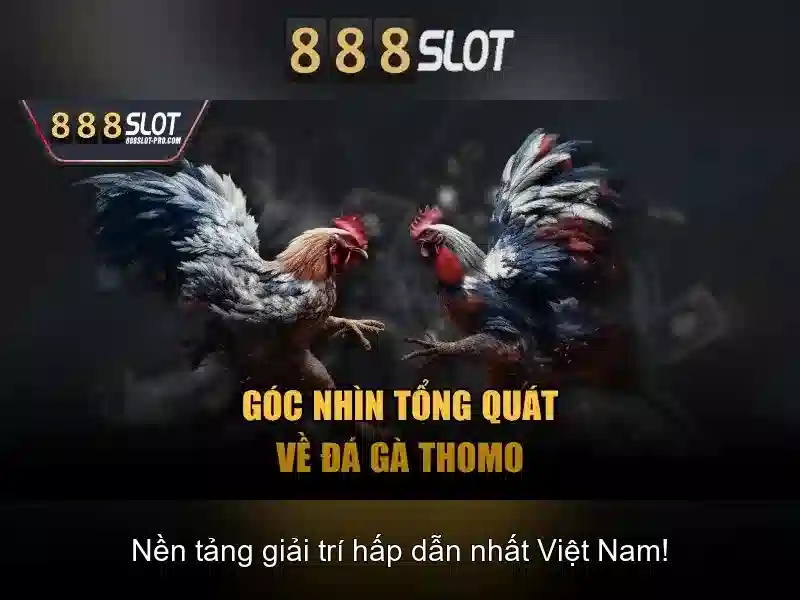 Chính sách thanh toán và an toàn