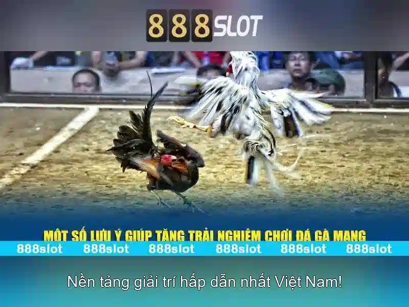 Tính năng nổi bật của 888slot