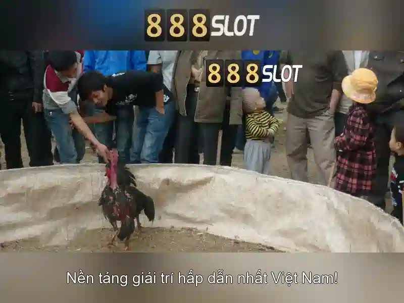 Khuyến mãi và chương trình thưởng