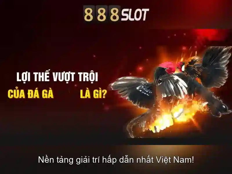 Trải nghiệm người dùng và ứng dụng